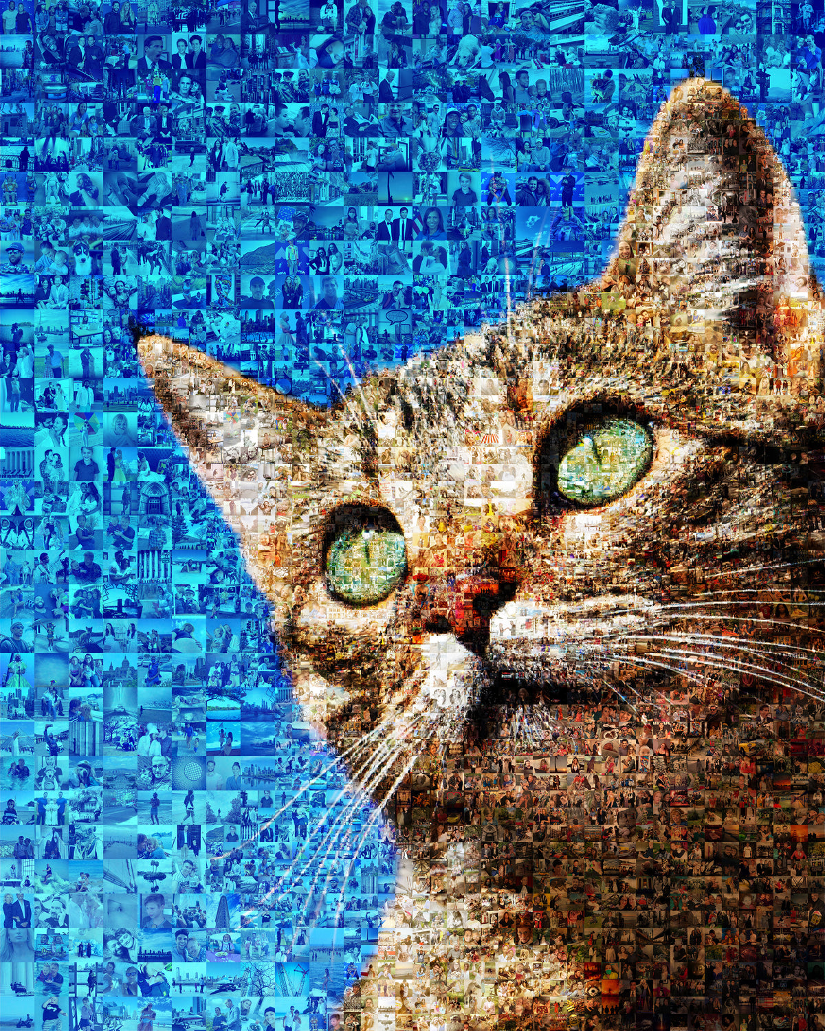 Custom pet memorial photo mosaic created from cherished photographs
